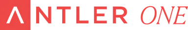 AI Accelerator Technology